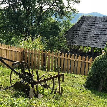 Willa Casa Albastra Băile Olăneşti Zewnętrze zdjęcie