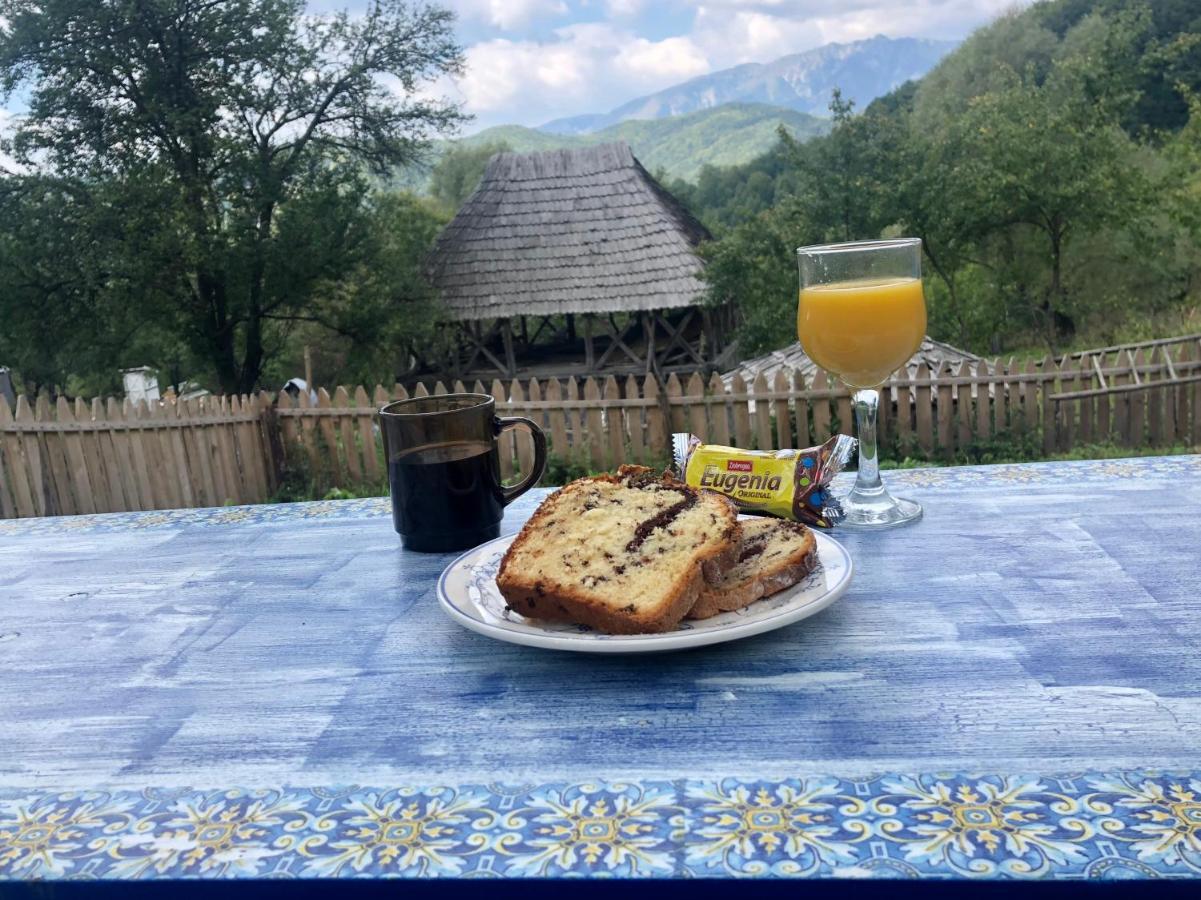 Willa Casa Albastra Băile Olăneşti Zewnętrze zdjęcie