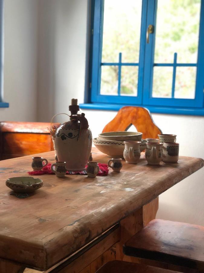 Willa Casa Albastra Băile Olăneşti Zewnętrze zdjęcie