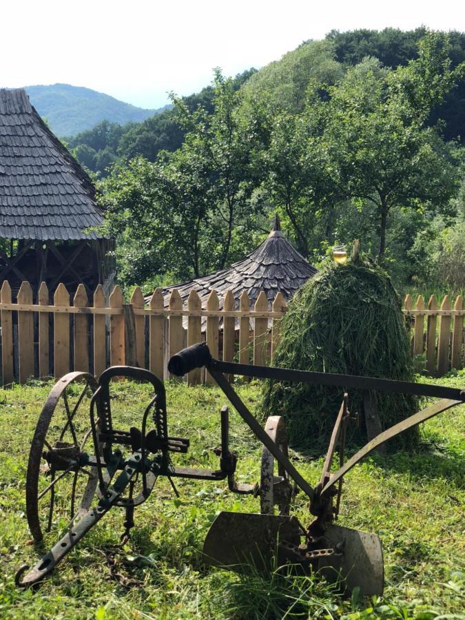 Willa Casa Albastra Băile Olăneşti Zewnętrze zdjęcie