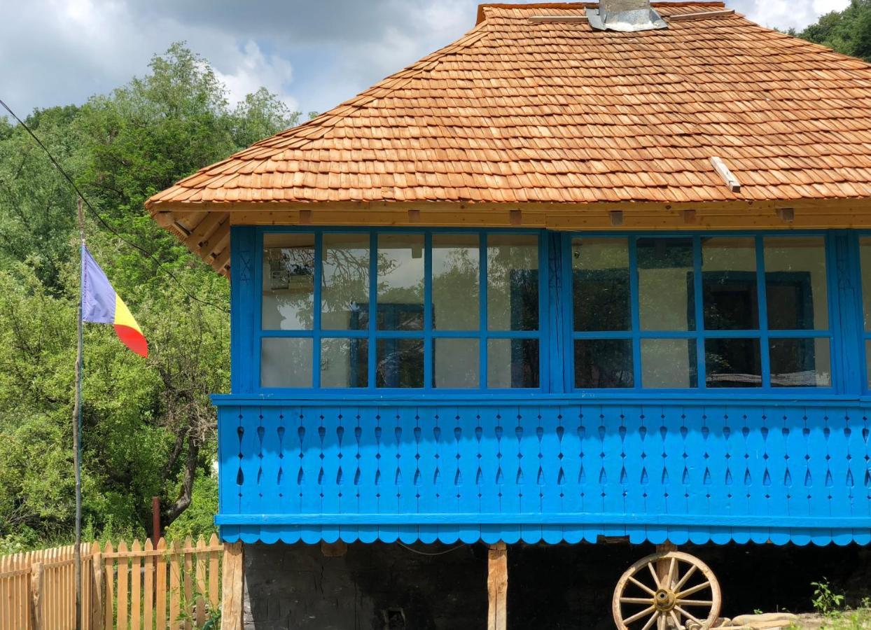 Willa Casa Albastra Băile Olăneşti Zewnętrze zdjęcie