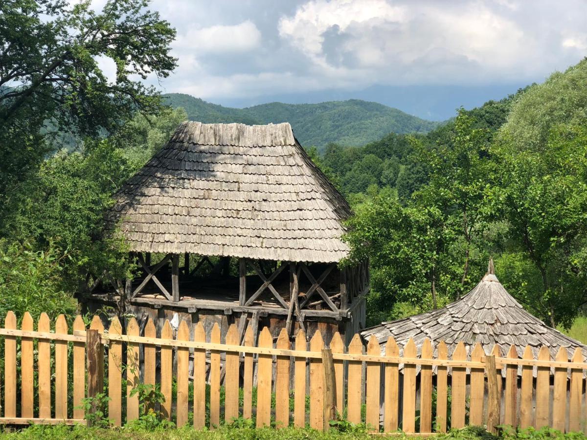 Willa Casa Albastra Băile Olăneşti Zewnętrze zdjęcie