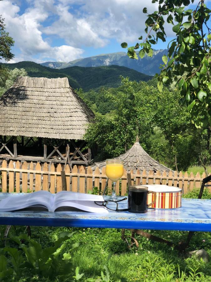 Willa Casa Albastra Băile Olăneşti Zewnętrze zdjęcie