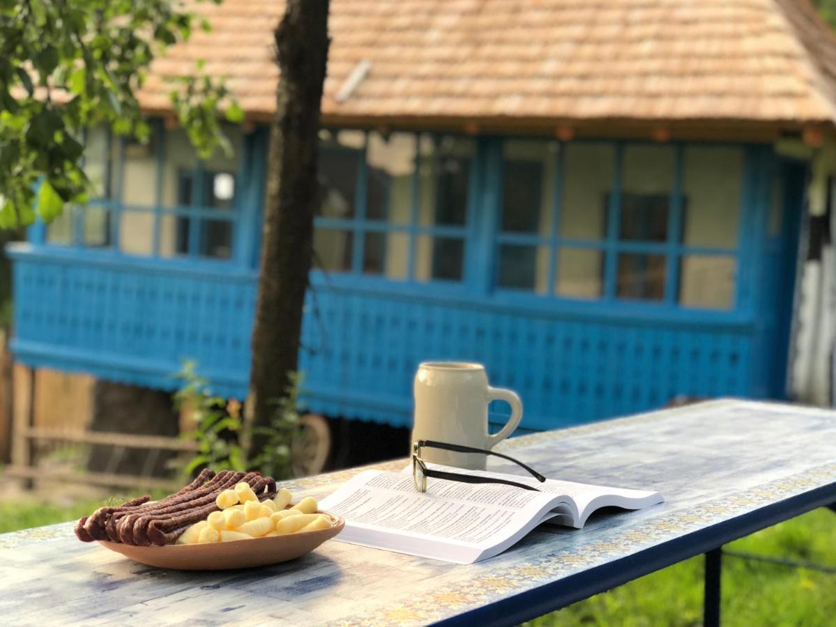 Willa Casa Albastra Băile Olăneşti Zewnętrze zdjęcie