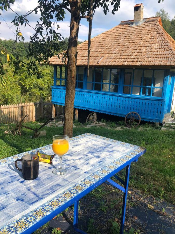 Willa Casa Albastra Băile Olăneşti Zewnętrze zdjęcie