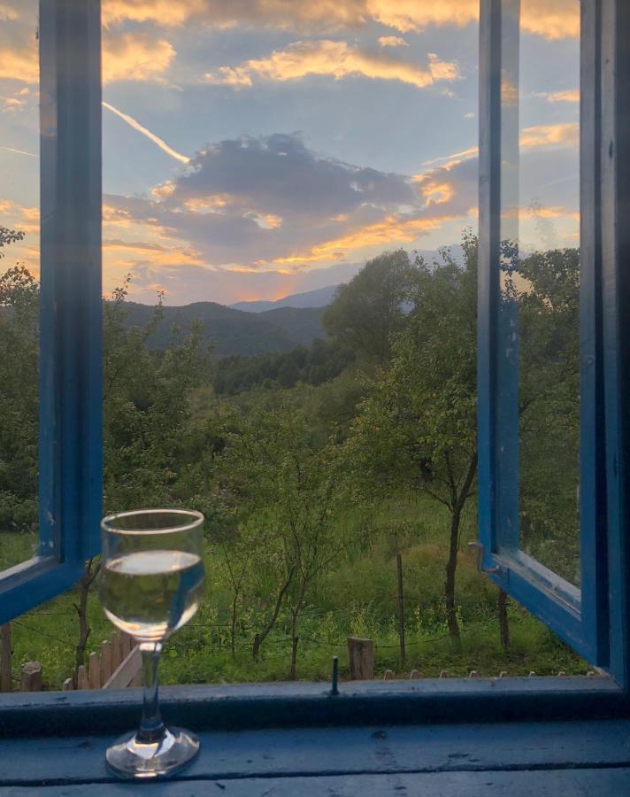 Willa Casa Albastra Băile Olăneşti Zewnętrze zdjęcie