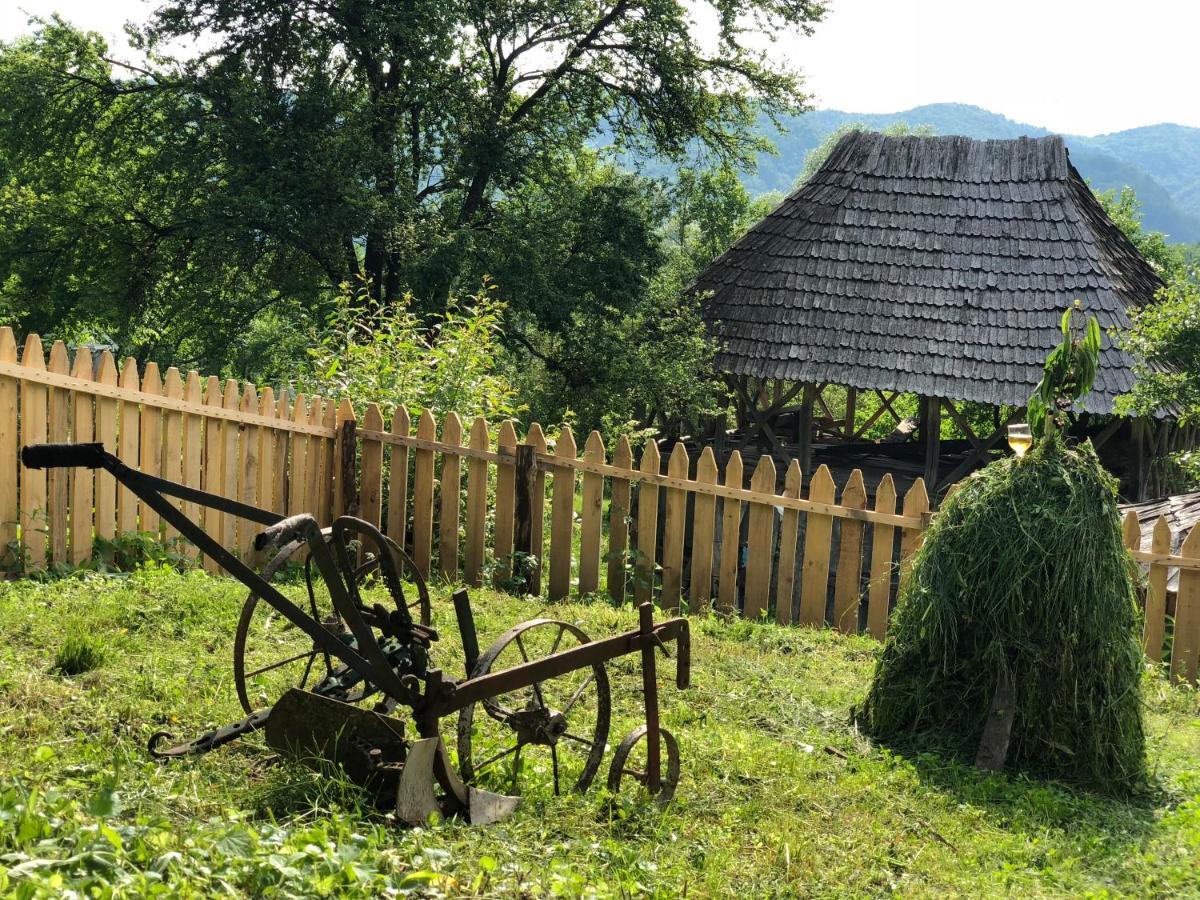 Willa Casa Albastra Băile Olăneşti Zewnętrze zdjęcie